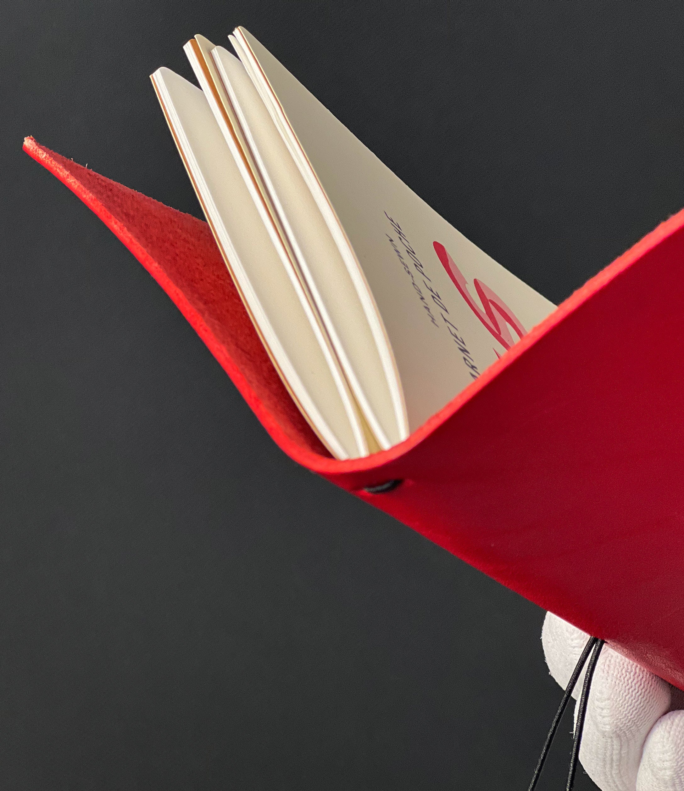 Acrobat-Ledereinband mit 2 Tagebüchern. A6-Taschenformat. Rote Apfelfarbe 